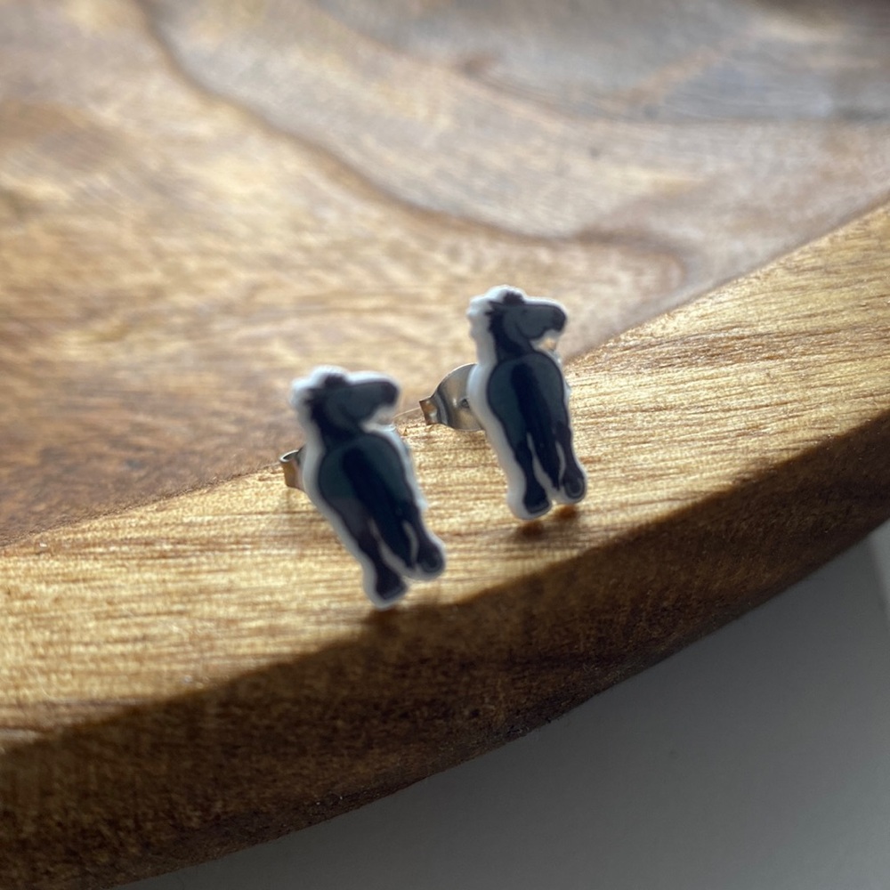 ⭐️ 2/$20 earring sets ⭐️ 
Set of horse earrings NEW